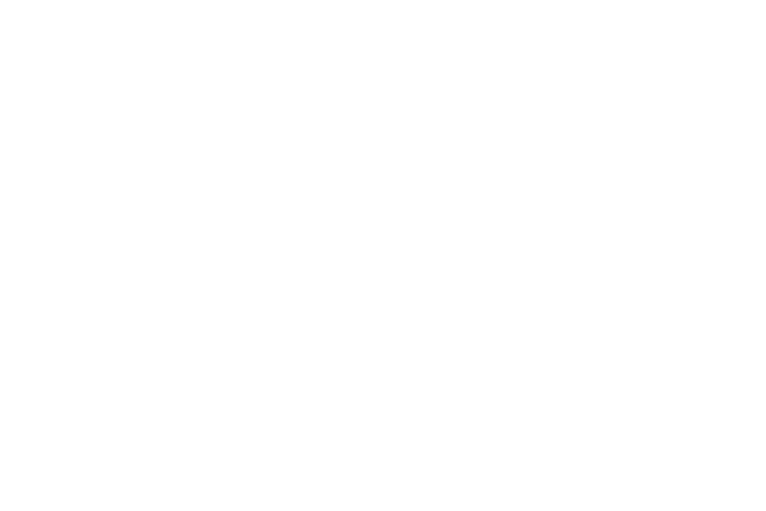 Finance Fire