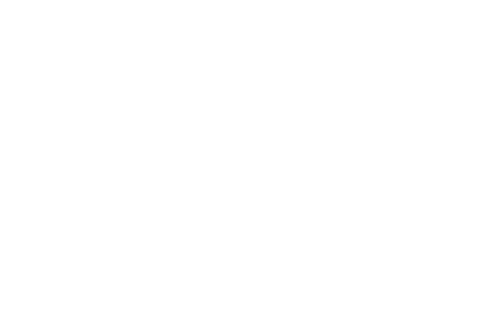 Master Franchise Brasil